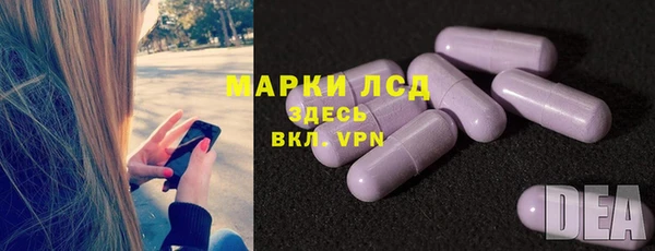 гашик Белокуриха
