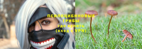 прущие крисы Беломорск