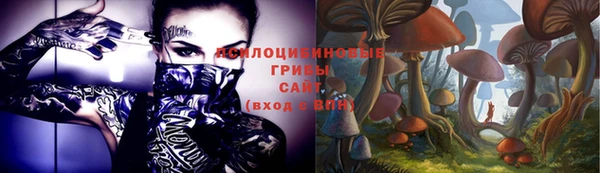 гашик Белокуриха